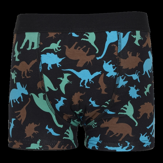 Dino - Pants for daytime wetting