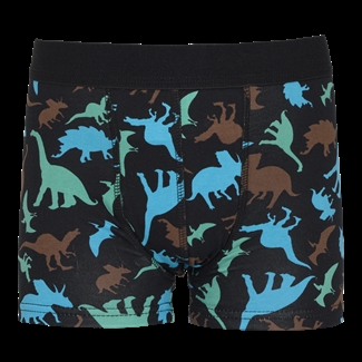 Dino - Pants for daytime wetting