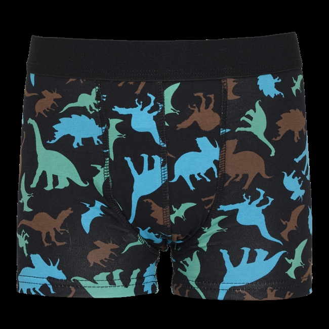 Dino - Pants for daytime wetting