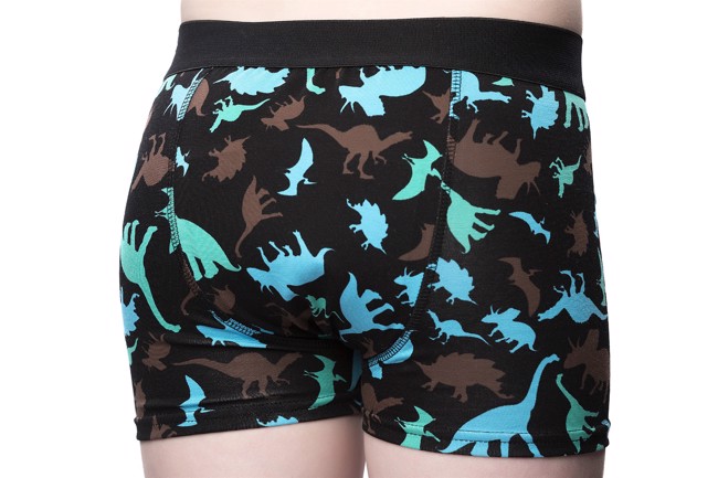Pants for daytime wetting Dino
