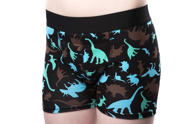 Pants for daytime wetting Dino
